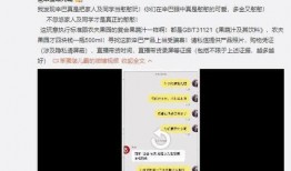 爆料王海打假辛巴视频,王海实名打假，揭秘背后真相