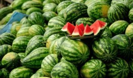 花臂老师网红吃瓜,揭秘娱乐圈幕后真相