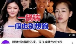 大s爆料视频,娱乐圈背后的惊人真相